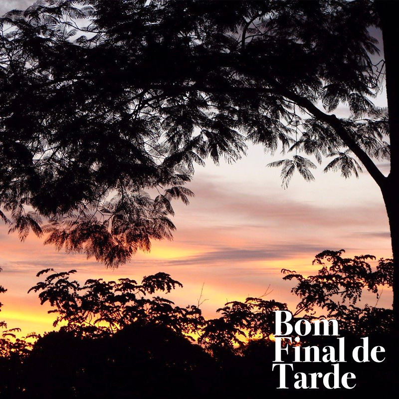 Frases para você desejar um Bom Final de Tarde com carinho